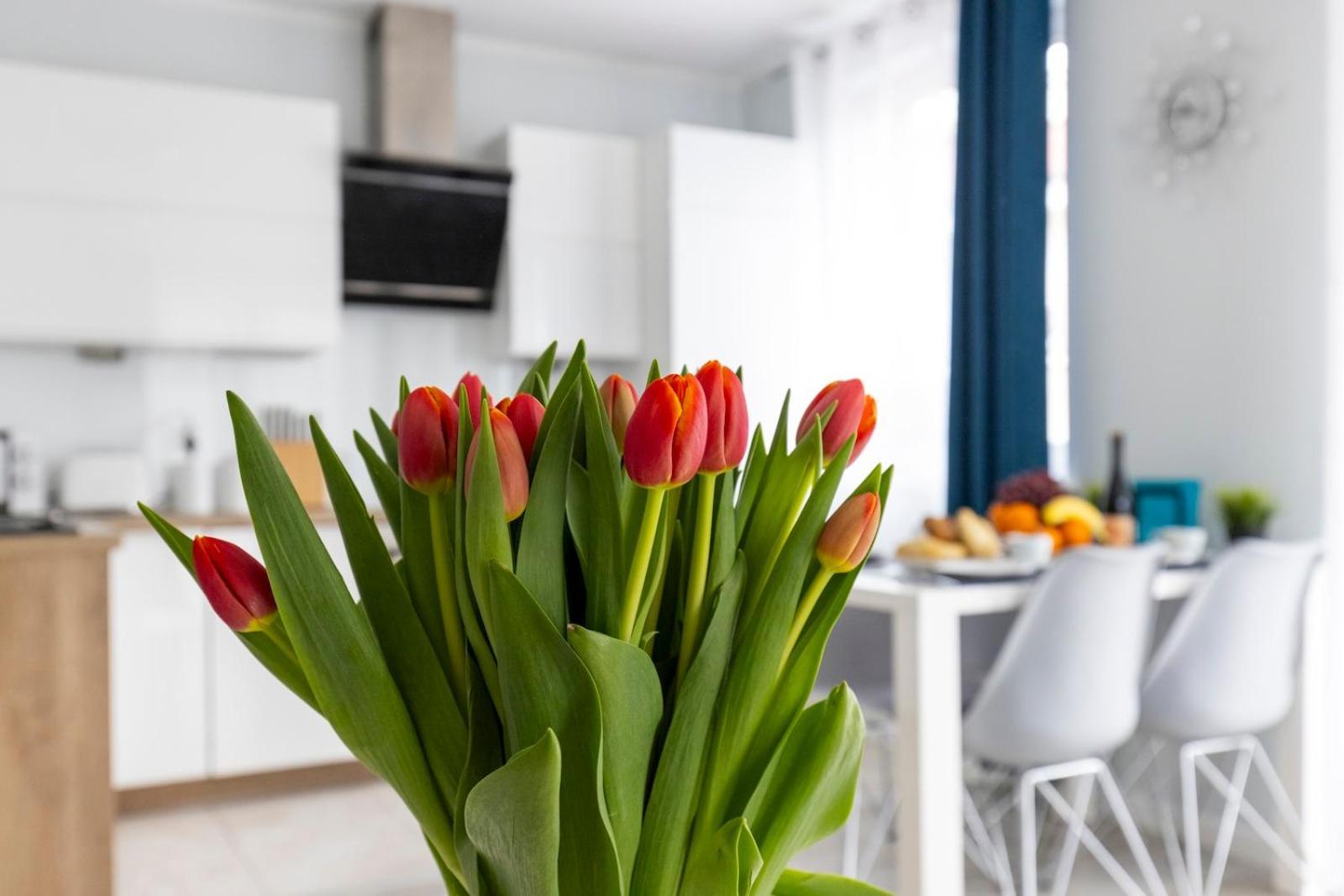 6m Klifowa W Cenie Basen, Jacuzzi, Silownia, Sala Zabaw, Free Private Parking
